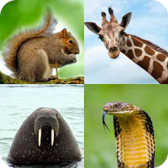 Скачать Animal Quiz: Guess the Animal (Мод: Все подсказки и уровни разблокированы) на Андроид