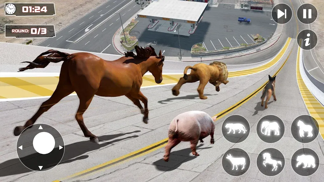 Взломанная GT Animal 3D: Racing Game на Андроид — Много денег — скриншот 1