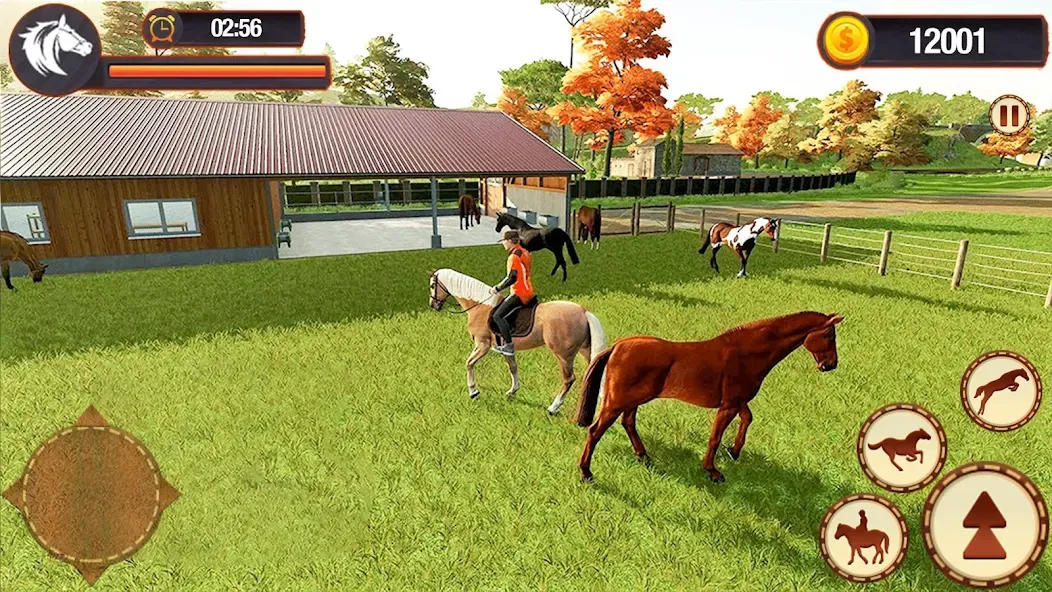 My Horse Herd Care Simulator MOD APK на Android — Много денег — скриншот 1