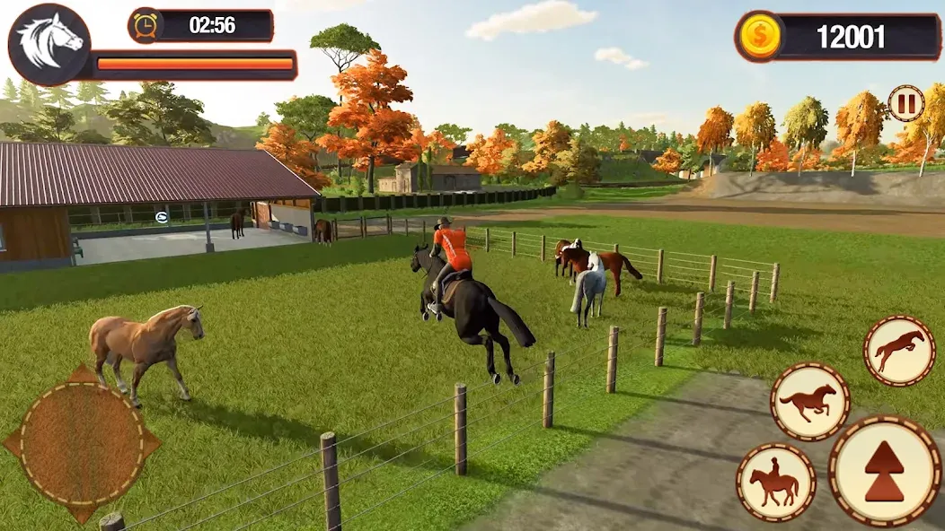My Horse Herd Care Simulator MOD APK на Android — Много денег — скриншот 3