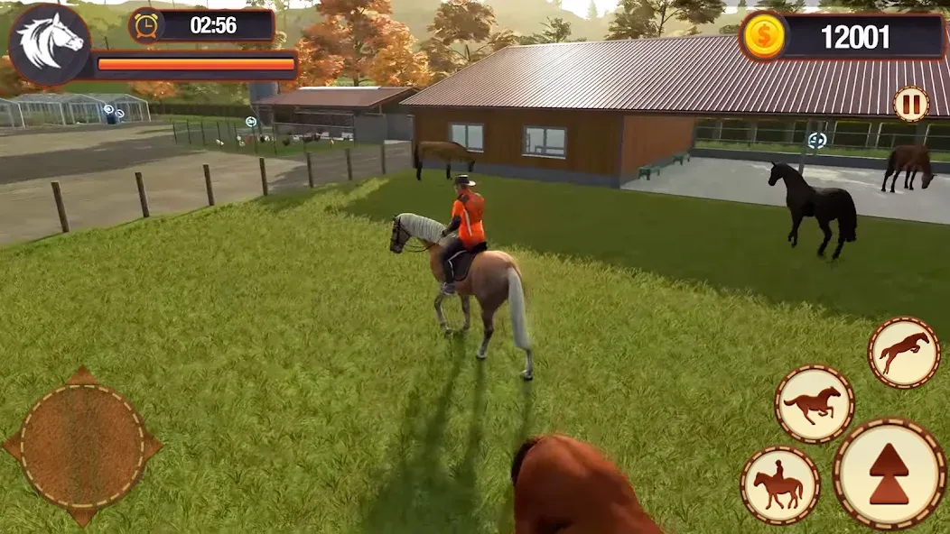 My Horse Herd Care Simulator MOD APK на Android — Много денег — скриншот 4