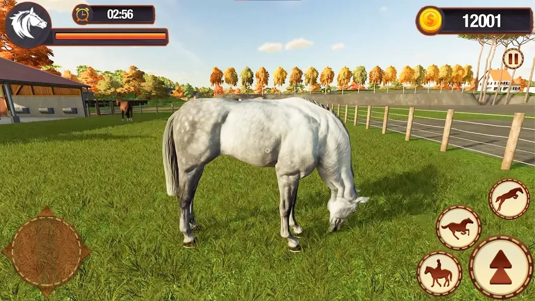 My Horse Herd Care Simulator MOD APK на Android — Много денег — скриншот 5
