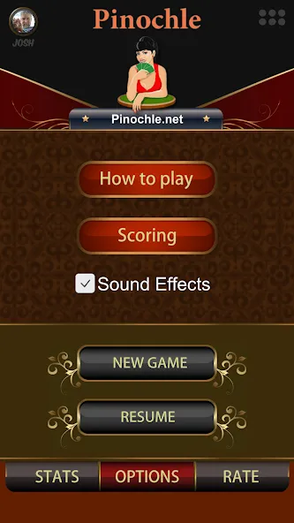 Скачать Pinochle.Net — Последняя версия (Всё открыто) — скриншот 2