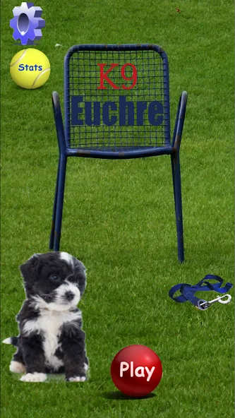 Скачать K9 Euchre (Мод: Всё открыто и без рекламы) на Андроид — скриншот 1