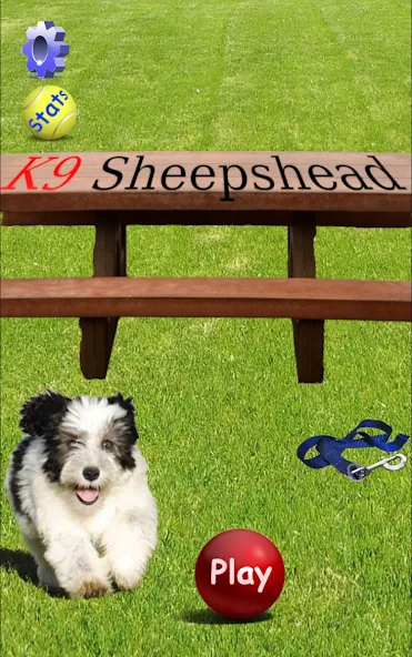 K9 Sheepshead (Schafkopf) MOD APK на Android — Все открыто — скриншот 1