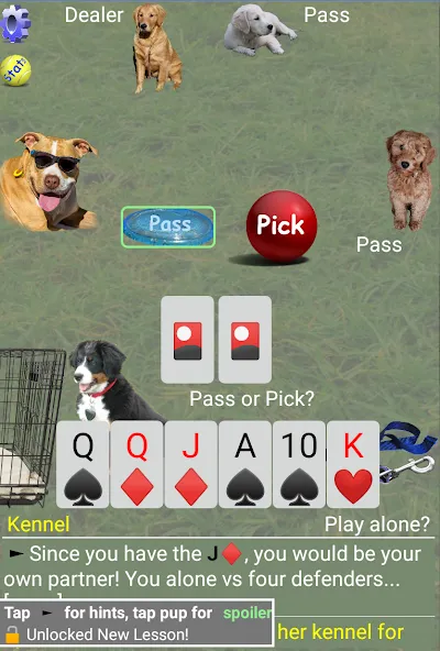 K9 Sheepshead (Schafkopf) MOD APK на Android — Все открыто — скриншот 2
