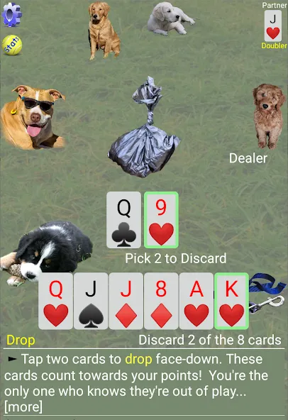 K9 Sheepshead (Schafkopf) MOD APK на Android — Все открыто — скриншот 3