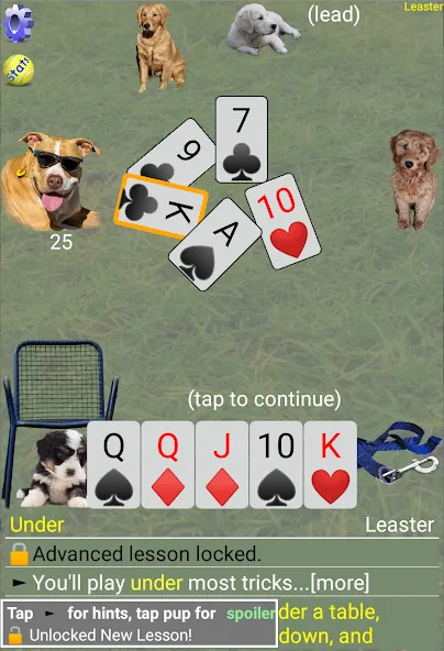 K9 Sheepshead (Schafkopf) MOD APK на Android — Все открыто — скриншот 4