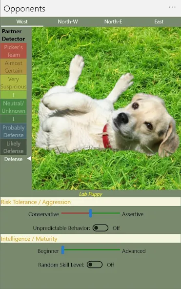 K9 Sheepshead (Schafkopf) MOD APK на Android — Все открыто — скриншот 5