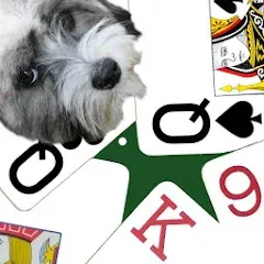 K9 Sheepshead (Schafkopf) MOD APK на Android — Все открыто