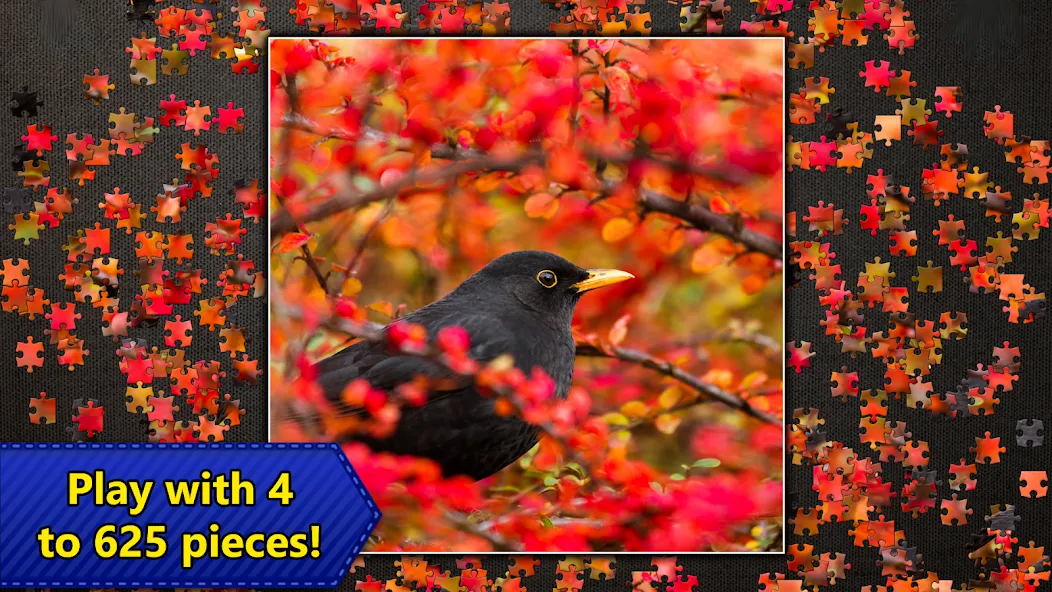 Jigsaw Puzzles Epic на Андроид — Мод Все пазлы разблокированы — скриншот 5