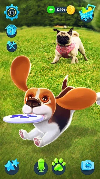 Скачать Tamadog - Puppy Pet Dog Games на Android — Много денег и без рекламы — скриншот 3