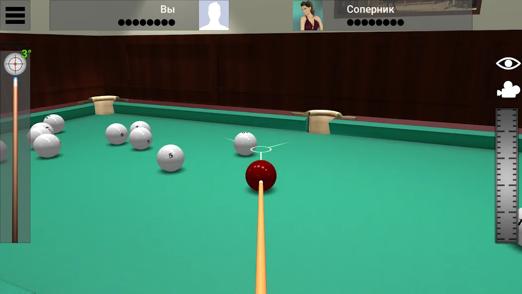Russian Billiard Pool — Много денег — скриншот 2