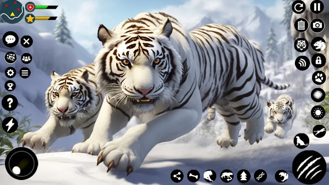 Arctic White Tiger Family Sim MOD APK на Android — Много денег — скриншот 1 Arctic White Tiger Family Sim MOD APK на Android — Много денег — скриншот 1