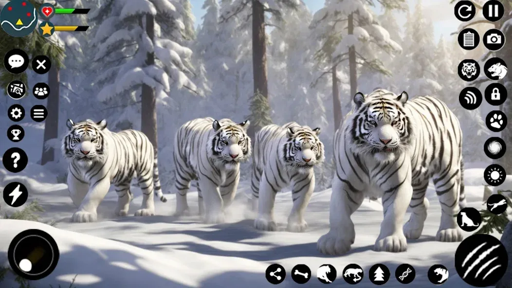 Arctic White Tiger Family Sim MOD APK на Android — Много денег — скриншот 4 Arctic White Tiger Family Sim MOD APK на Android — Много денег — скриншот 4