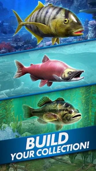 Скачать Ultimate Fishing! Fish Game с модом — Много денег — скриншот 5
