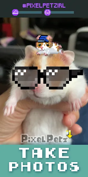 Скачать Pixel Petz (Мод: Много денег) на Андроид — скриншот 4