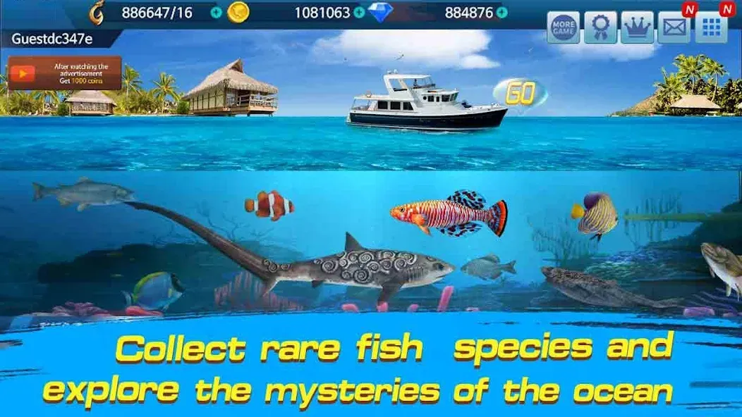 Скачать Fishing Championship — Модификация Много денег и без рекламы — скриншот 3