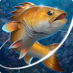 Взлом Fishing Hook — Много денег