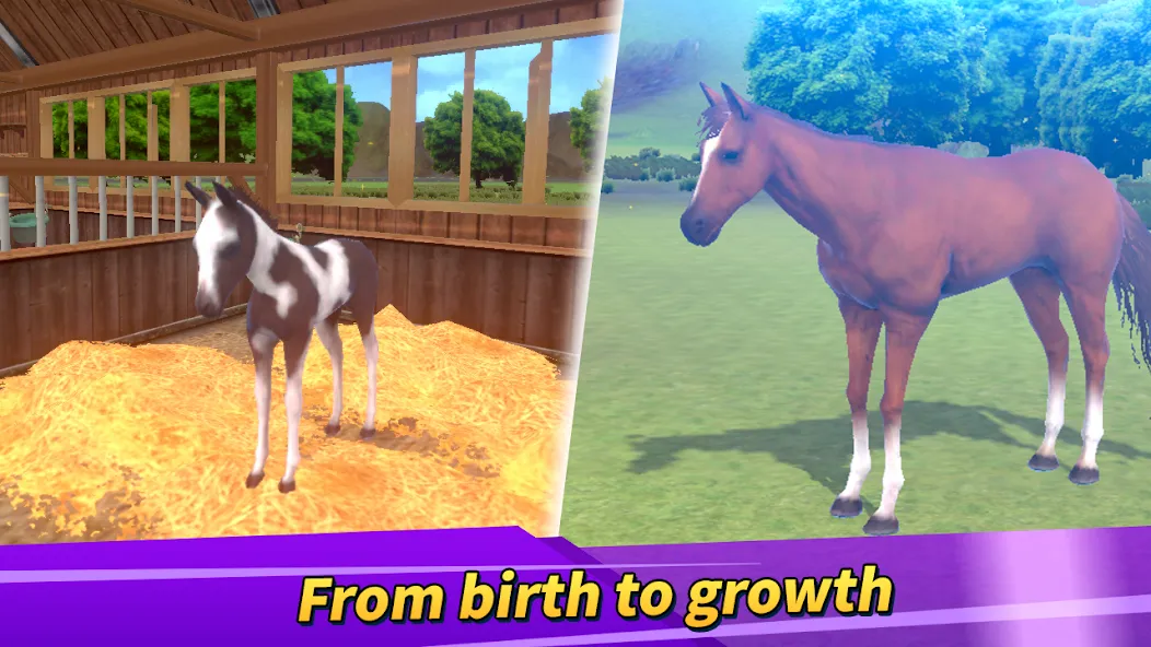 Скачать Derby Life : Horse racing MOD APK — Много денег и бесконечная энергия — скриншот 2