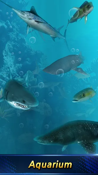 Monster Fishing 2024 MOD APK — Много денег и без рекламы — скриншот 2