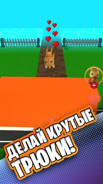 Simbchka Run Mod APK Много денег — Скачать на Андроид — скриншот 2