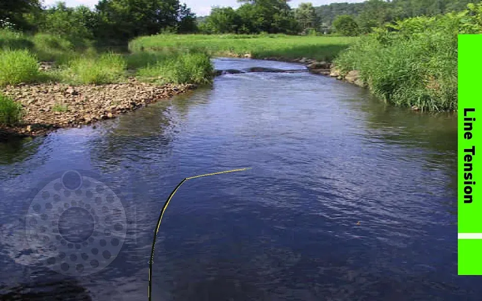 Fly Fishing Simulator — Взломанная версия (Бесконечные деньги и премиум снасти) — скриншот 4 Fly Fishing Simulator — Взломанная версия (Бесконечные деньги и премиум снасти) — скриншот 4