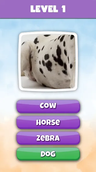 What is it? Pics Trivia Quiz — Взломанная версия (Все подсказки открыты) — скриншот 2