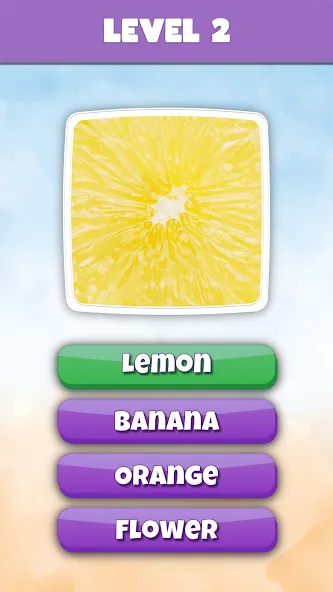 What is it? Pics Trivia Quiz — Взломанная версия (Все подсказки открыты) — скриншот 3