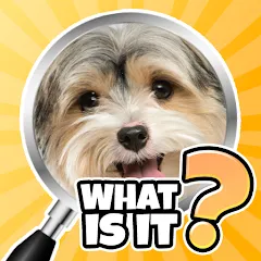 What is it? Pics Trivia Quiz — Взломанная версия (Все подсказки открыты)