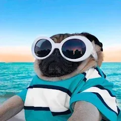 Скачать 10000 words (Мод: Без рекламы) на Андроид