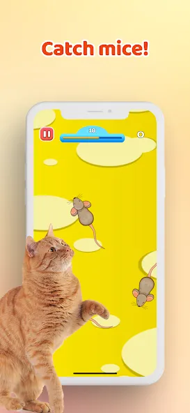 Скачать Games for Cat－Toy Mouse & Fish — Модификация Без рекламы — скриншот 1