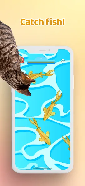 Скачать Games for Cat－Toy Mouse & Fish — Модификация Без рекламы — скриншот 3