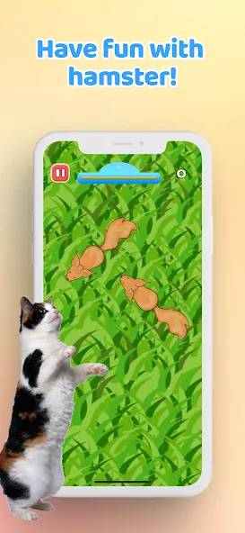 Скачать Games for Cat－Toy Mouse & Fish — Модификация Без рекламы — скриншот 5