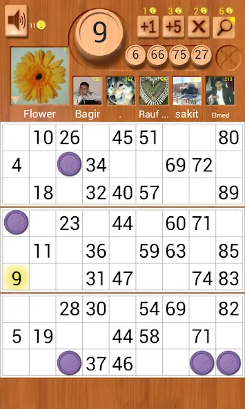 Loto Online MOD — Много денег на Андроид — скриншот 1