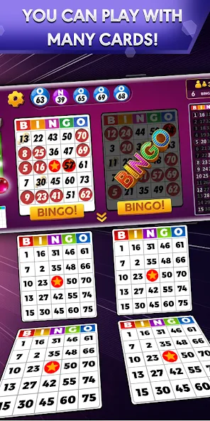 Bingo - Offline Bingo Game — Взломанная версия (Много денег и без рекламы) — скриншот 1