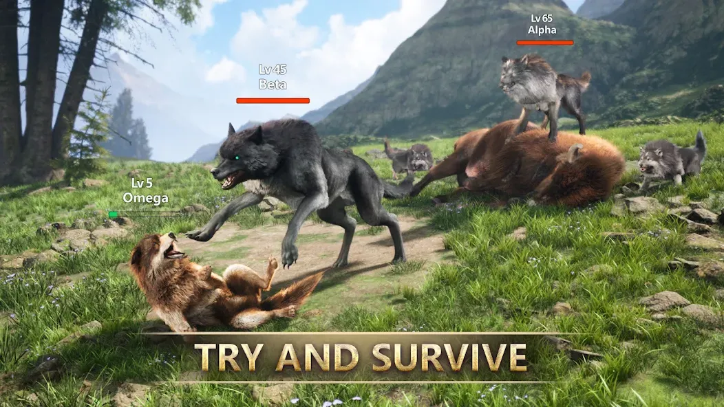 Скачать взломанную Wolf Game: Wild Animal Wars — Много денег и ресурсов — скриншот 1 Скачать взломанную Wolf Game: Wild Animal Wars — Много денег и ресурсов — скриншот 1