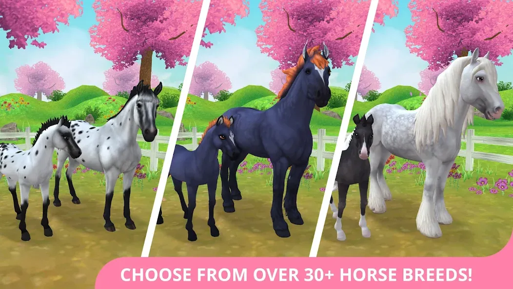Скачать Star Stable Horses — Последняя версия (Бесконечные деньги и все лошади открыты) — скриншот 1