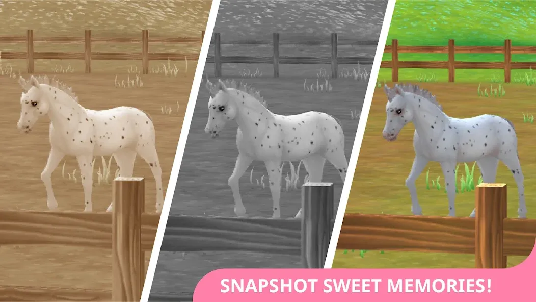 Скачать Star Stable Horses — Последняя версия (Бесконечные деньги и все лошади открыты) — скриншот 4