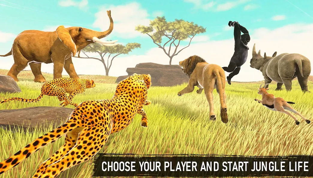 Savanna Safari: Land of Beasts — Мод: Много денег — скриншот 3