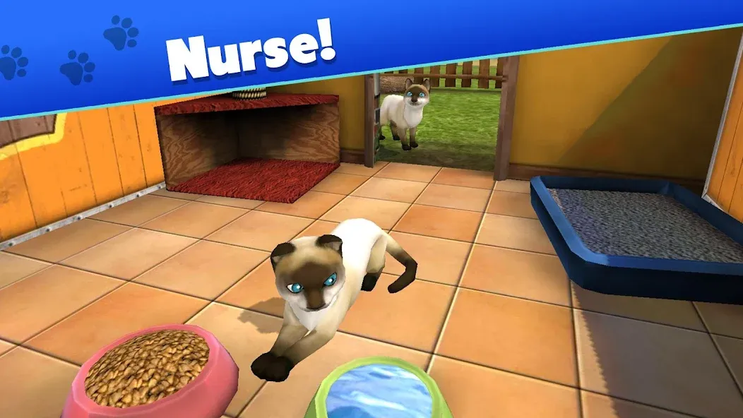 Скачать Pet World - My Animal Shelter MOD APK — Много денег — скриншот 3 Скачать Pet World - My Animal Shelter MOD APK — Много денег — скриншот 3