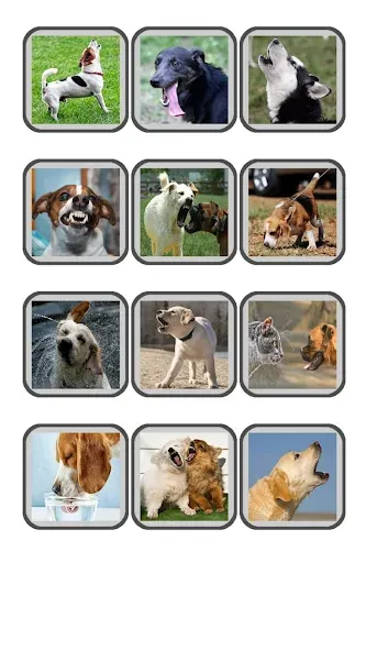 Взлом Dog Translator: Bark to Human — Все переводы разблокированы — скриншот 5