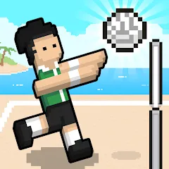 Скачать взлом Volley Random на Андроид — Все скины открыты