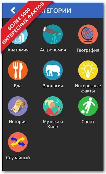 Скачать ДА или НЕТ на телефон — Все открыто — скриншот 1