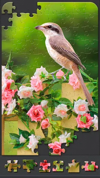 Скачать Jigsaw Puzzles for Adults на Андроид — Все пазлы разблокированы — скриншот 3