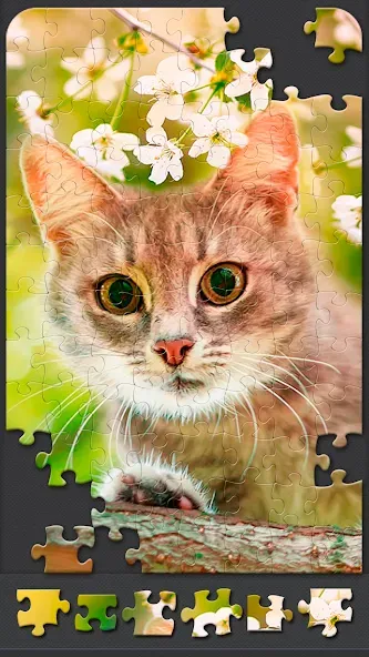 Скачать Jigsaw Puzzles for Adults на Андроид — Все пазлы разблокированы — скриншот 5
