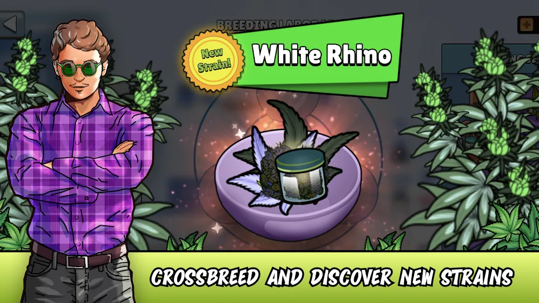 Weed City - Hemp Farm Tycoon MOD APK — Много денег и без рекламы — скриншот 1