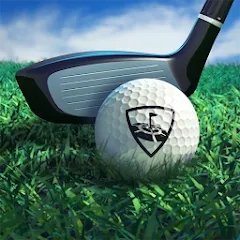 WGT Golf MOD — Много денег на Андроид