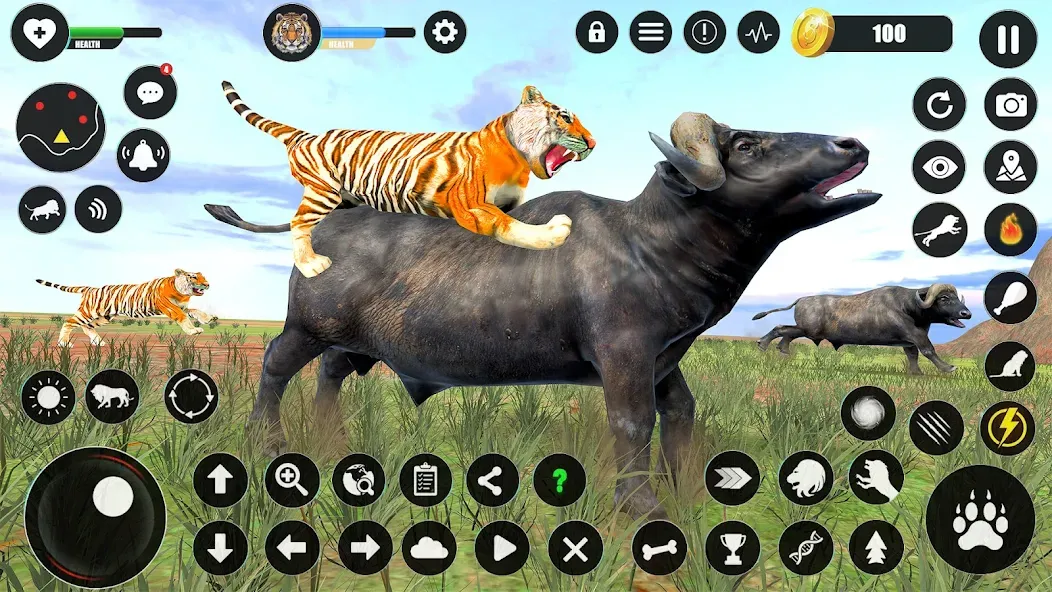 Tiger Simulator Animal Games — Взломанная версия (Много денег) — скриншот 4