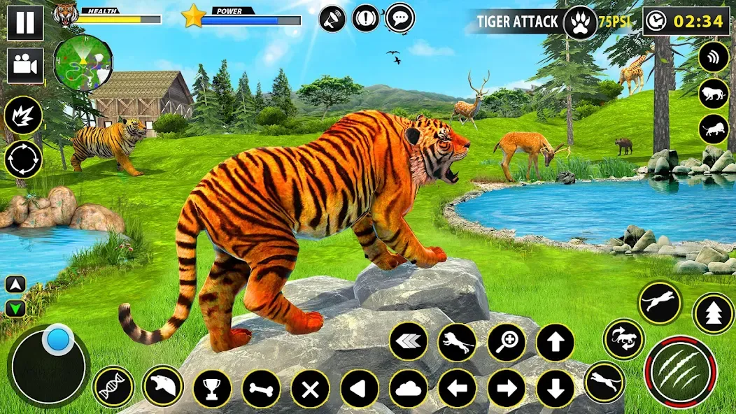 Tiger Simulator Lion games 3D MOD APK — Много денег — скриншот 4